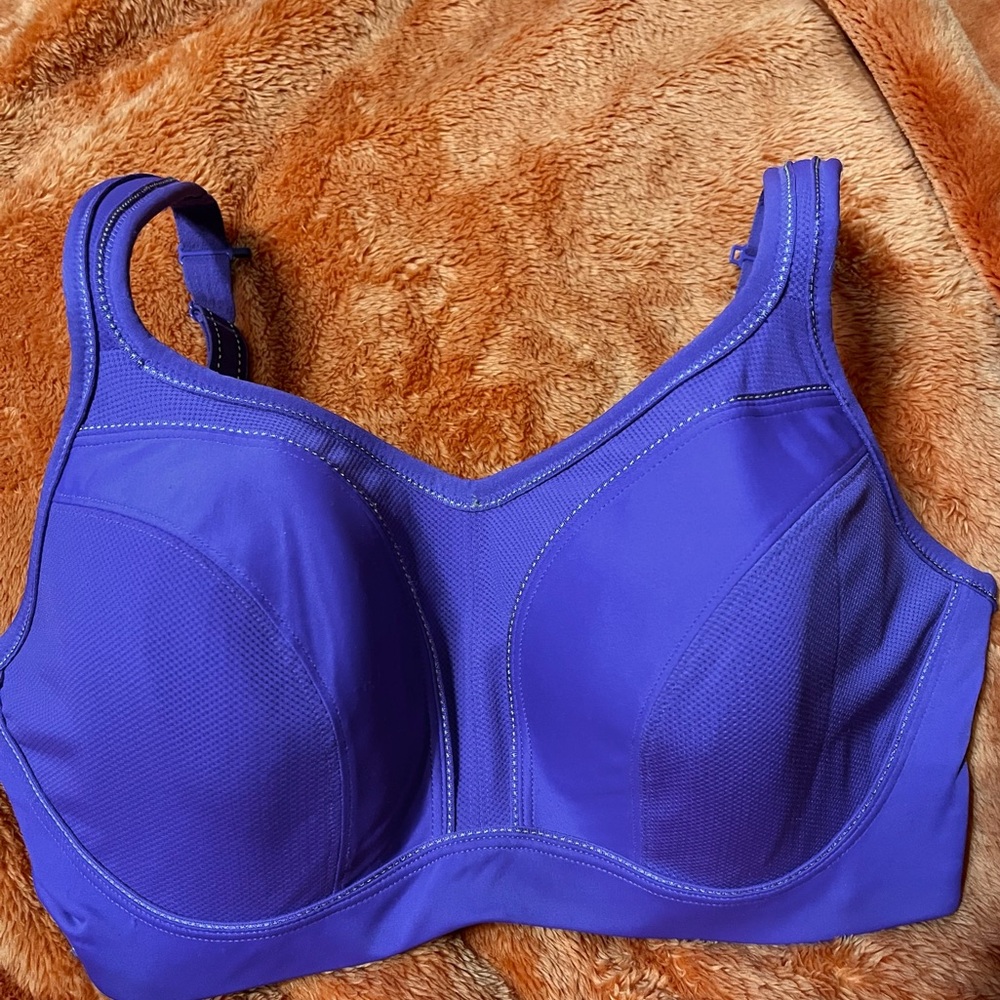 High Impact Sports Bra